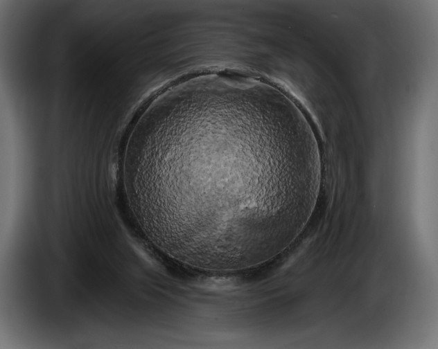 X0000086300063200704131618