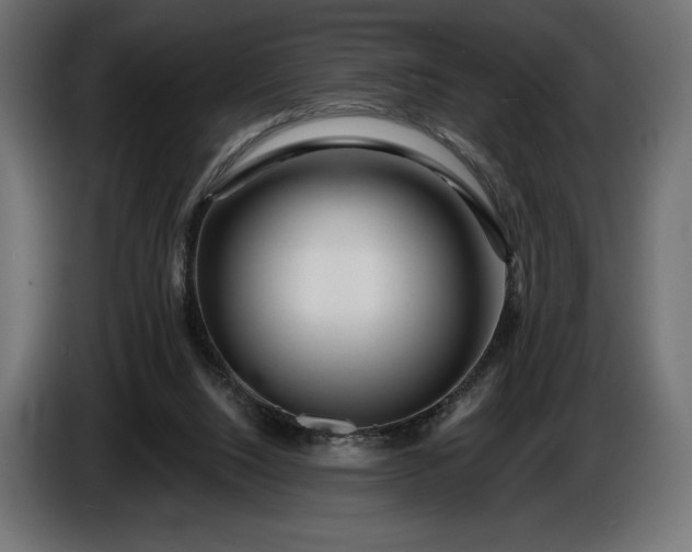 X0000086300064200704131618