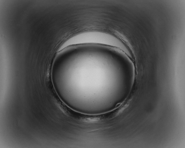 X0000086300065200704131618