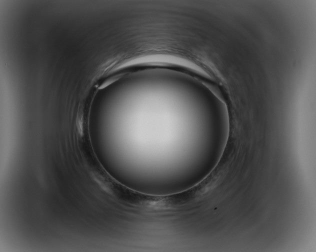 X0000086300068200704131618