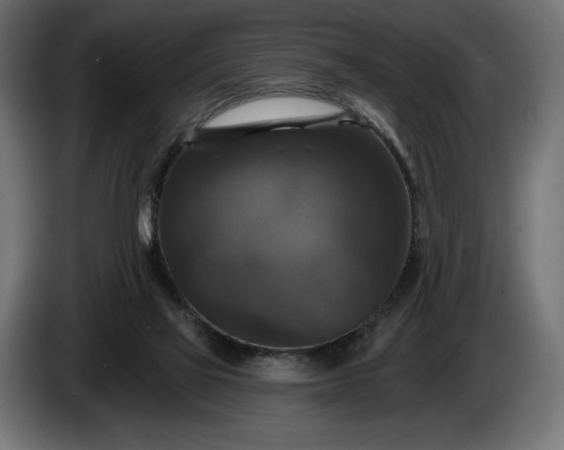 X0000086300069200704131618