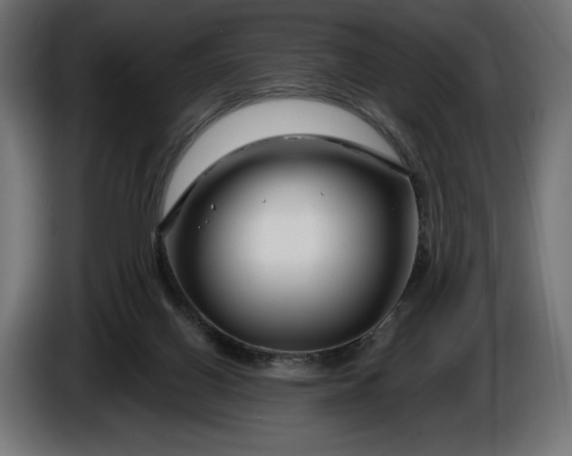 X0000086300070200704131618