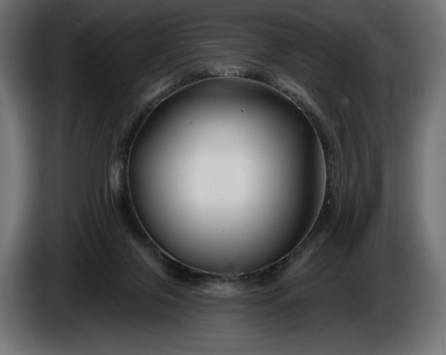 X0000086300071200704131618