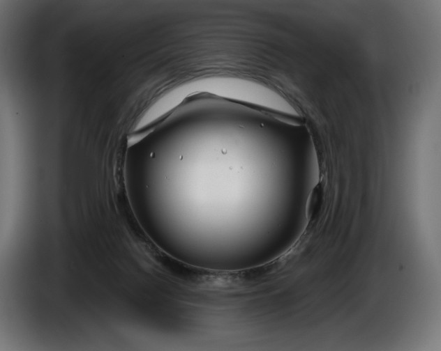 X0000086300074200704131618