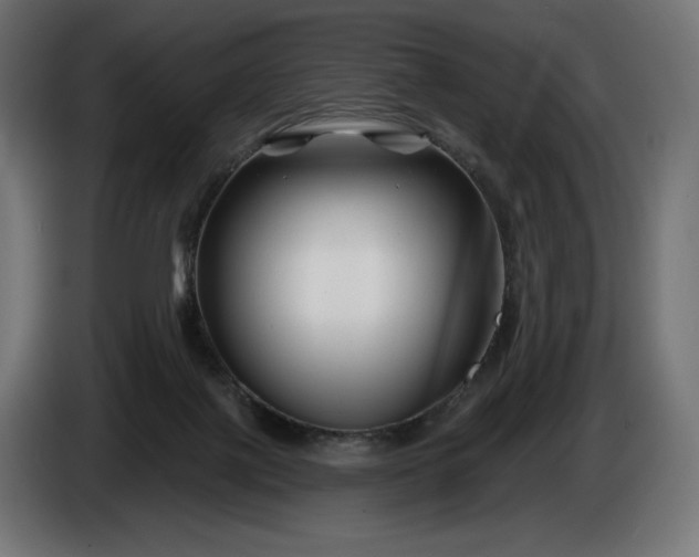 X0000086300075200704131618