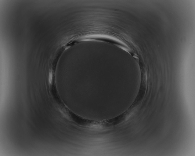 X0000086300076200704131618