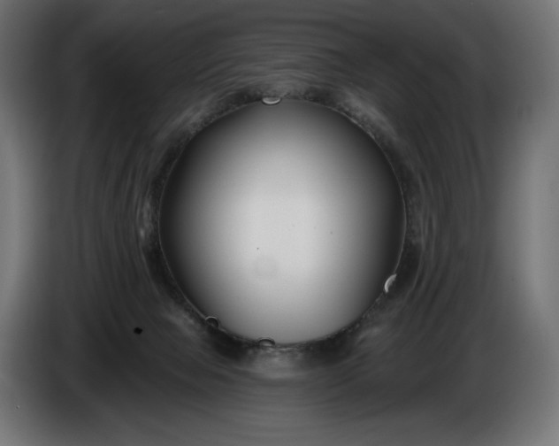 X0000086300077200704131618