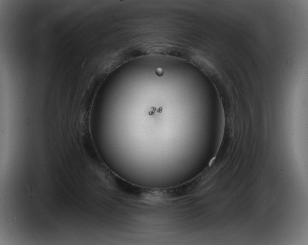 X0000086300079200704131619