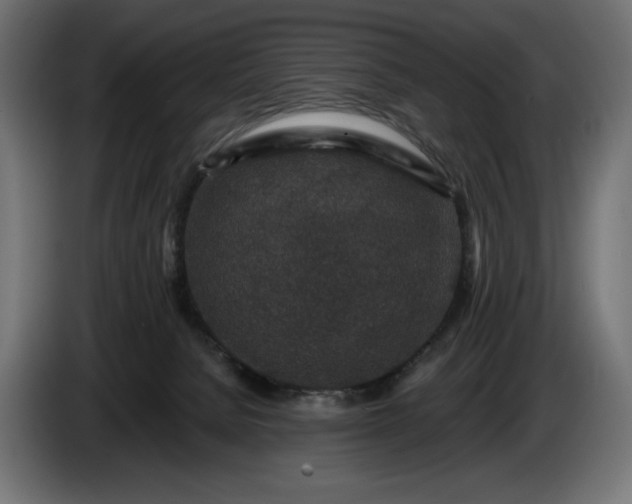 X0000086300080200704131619