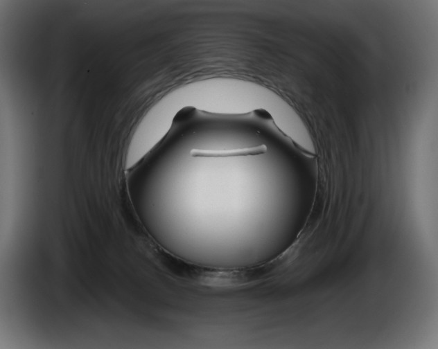 X0000086300082200704131619