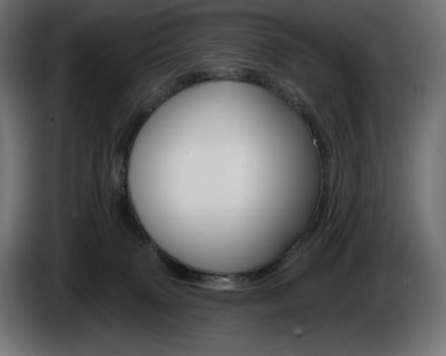 X0000086300083200704131619