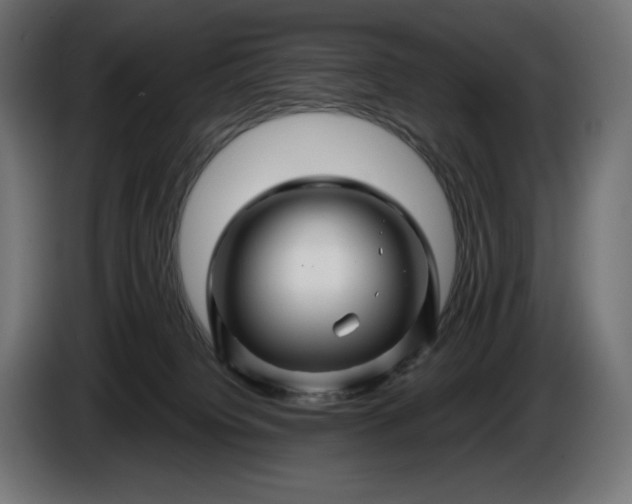 X0000086300084200704131619