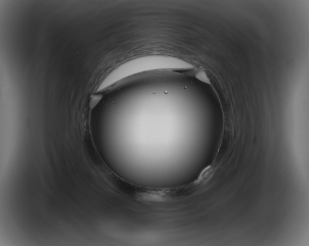 X0000086300086200704131619