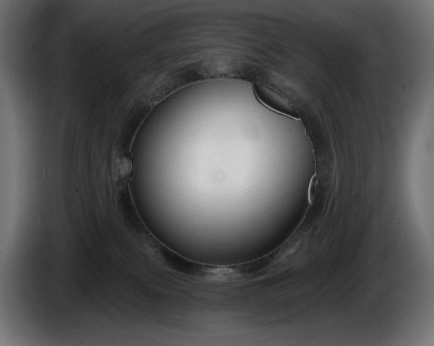 X0000086300087200704131619