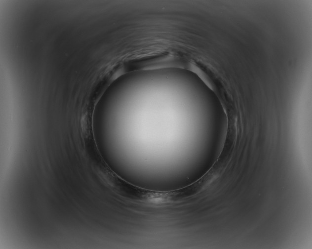 X0000086300088200704131619