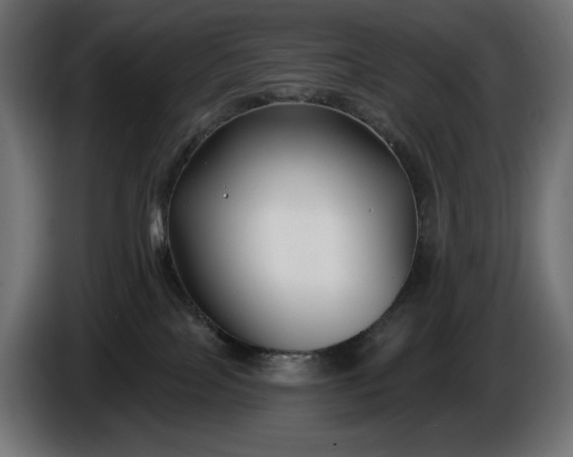 X0000086300089200704131619