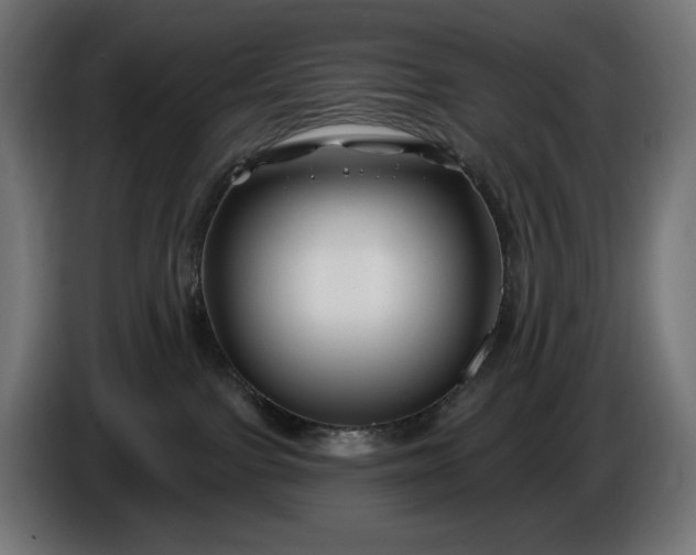 X0000086300091200704131619