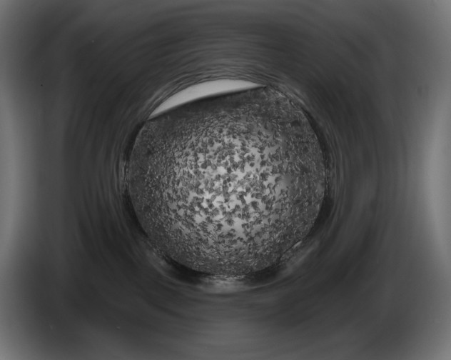 X0000086300093200704131619