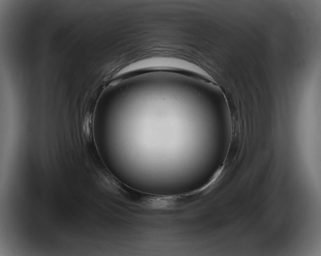 X0000086300094200704131619