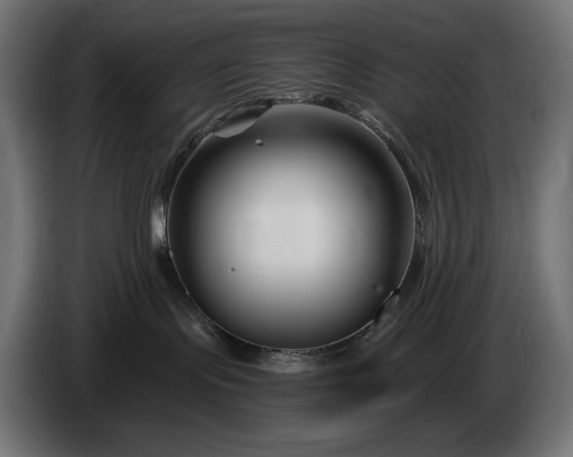 X0000086300095200704131619