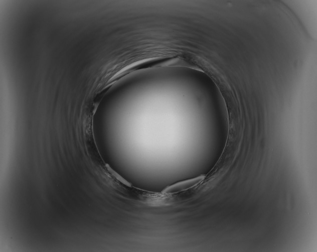 X0000086300096200704131619