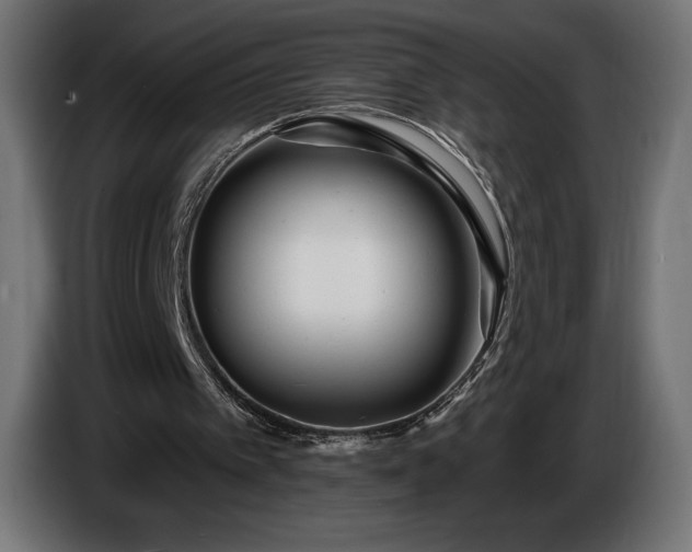 X0000086300097200704131618