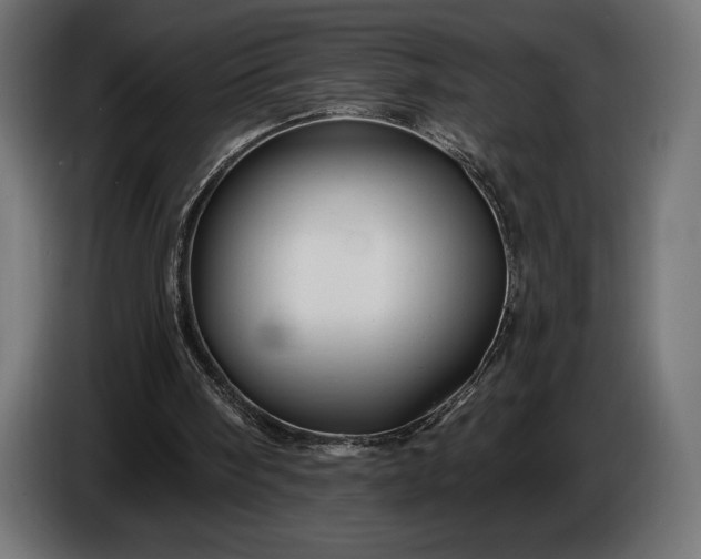 X0000086300098200704131618