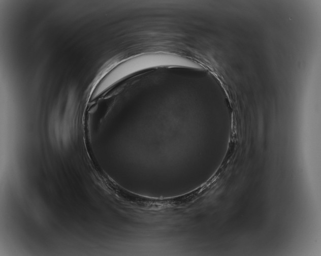 X0000086300099200704131618