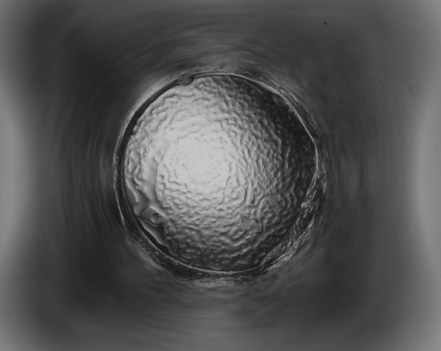 X0000086300100200704131618