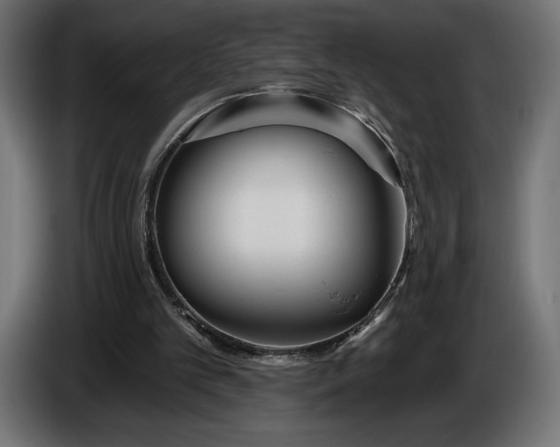 X0000086300101200704131618