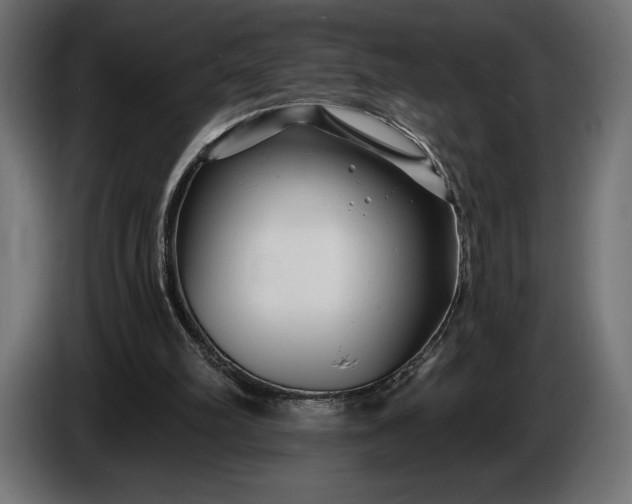 X0000086300102200704131618