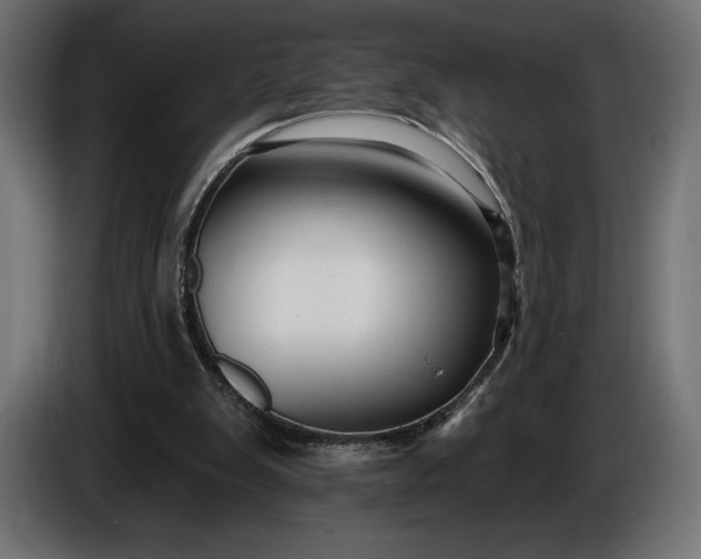 X0000086300103200704131618