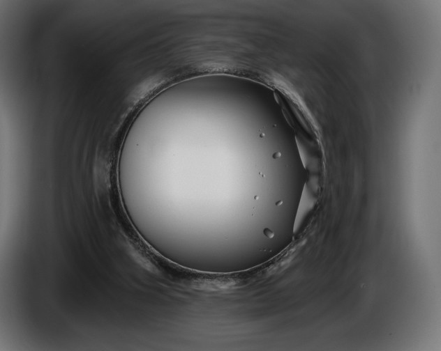 X0000086300106200704131618