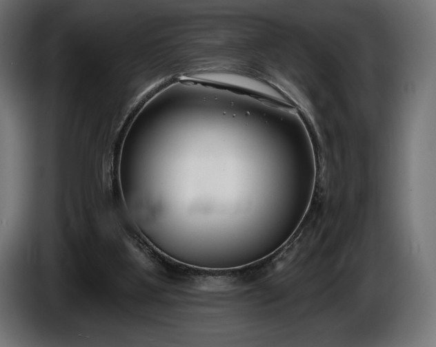 X0000086300107200704131618