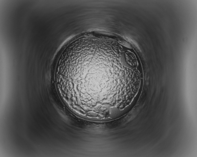 X0000086300108200704131618