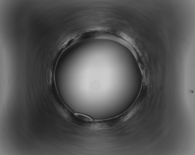 X0000086300109200704131618