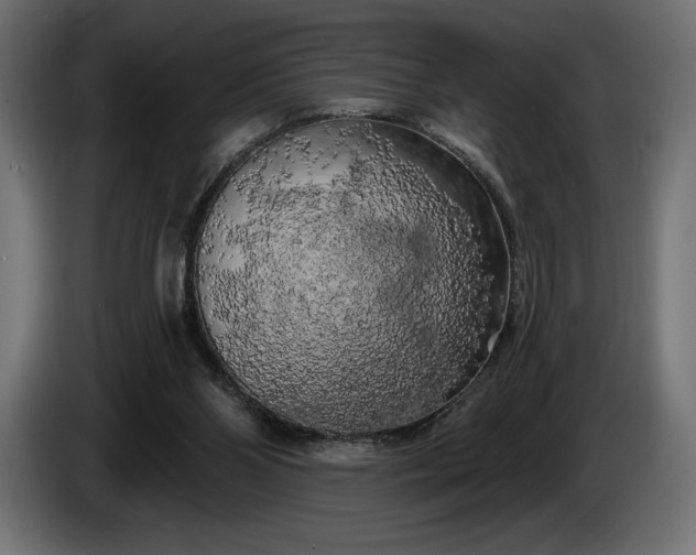 X0000086300110200704131618