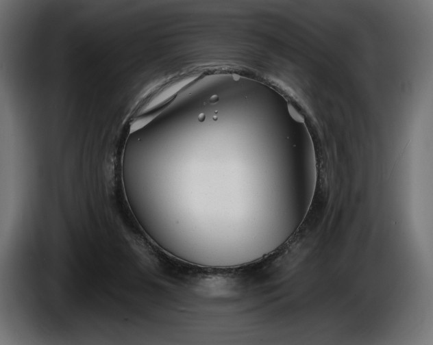 X0000086300111200704131618