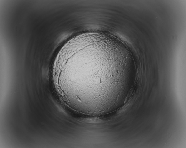 X0000086300112200704131618