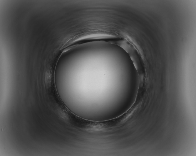 X0000086300113200704131618