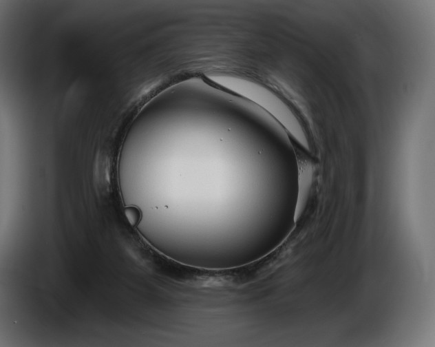 X0000086300115200704131618