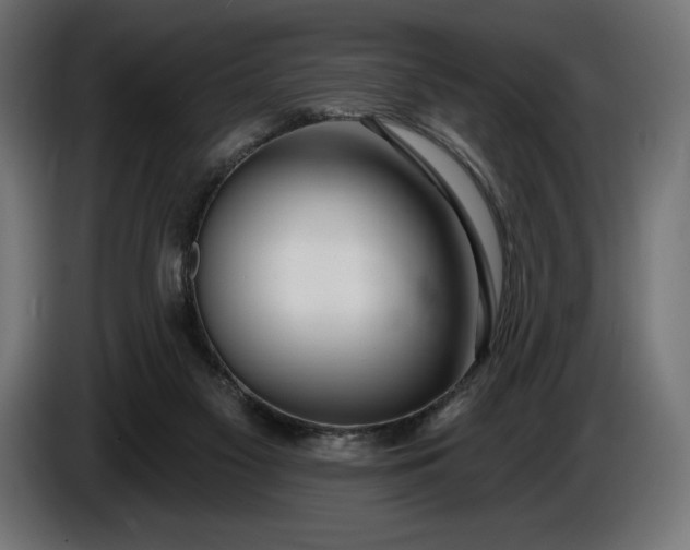 X0000086300117200704131618