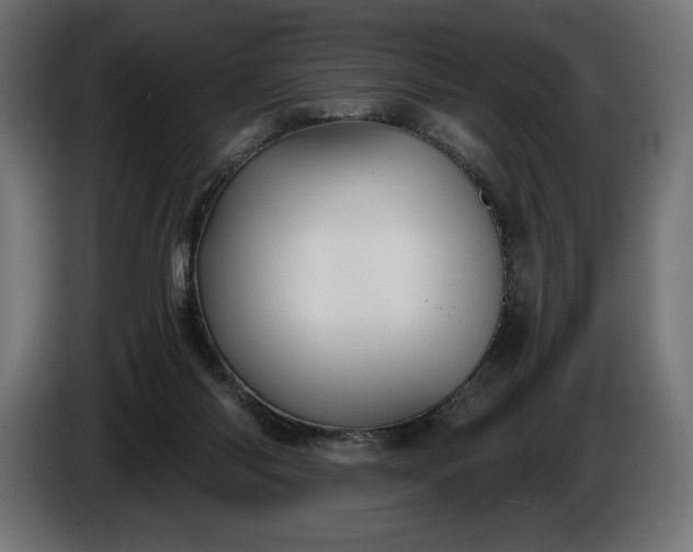 X0000086300118200704131618