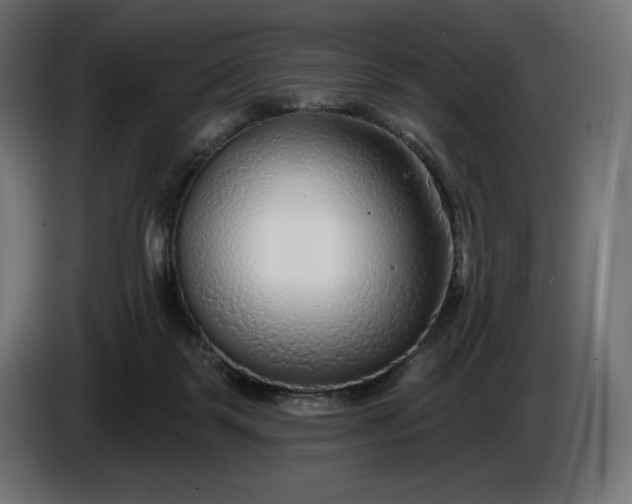 X0000086300123200704131618