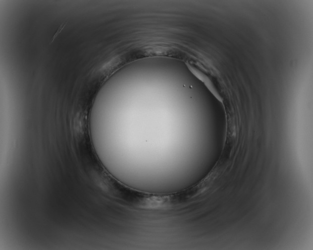 X0000086300126200704131618