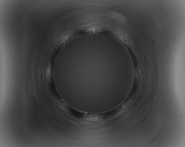 X0000086300127200704131618