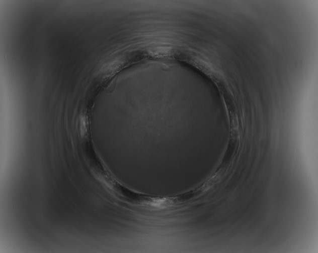 X0000086300130200704131618