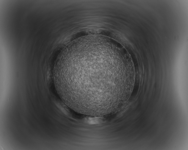 X0000086300134200704131618