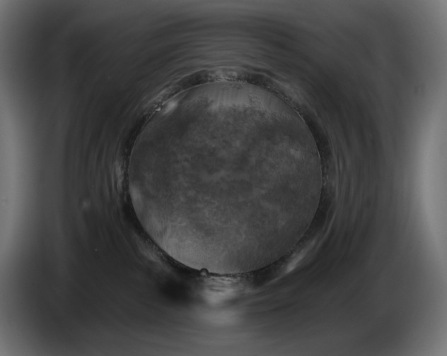 X0000086300139200704131617