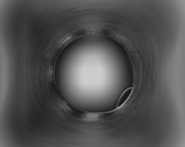 X0000086300144200704131617